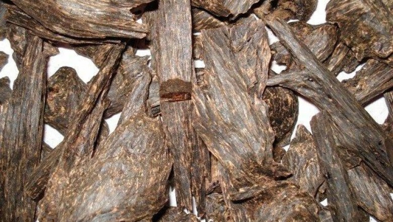 Công dụng chữa bệnh kỳ diệu của trầm hương, kỳ nam, tinh dầu trầm hương