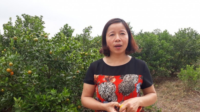 Dược liệu nuôi trồng thế nào được gọi là sạch, đạt chuẩn?