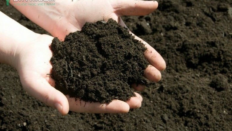 Phân bón hữu cơ trước thách thức lớn về bản quyền và công nghệ vi sinh