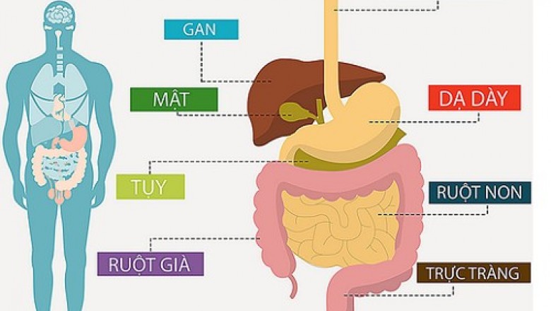 Phát hiện sớm ung thư tiêu hóa cần làm những xét nghiệm gì?