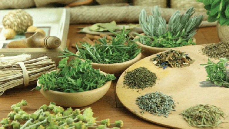 Bài thuốc đông y hỗ trợ, chữa bệnh ung thư gan, ung thư phổ và ung thư dạ dày