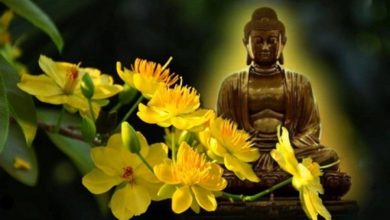Thân người khó được, Phật pháp khó nghe