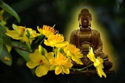 Thân người khó được, Phật pháp khó nghe