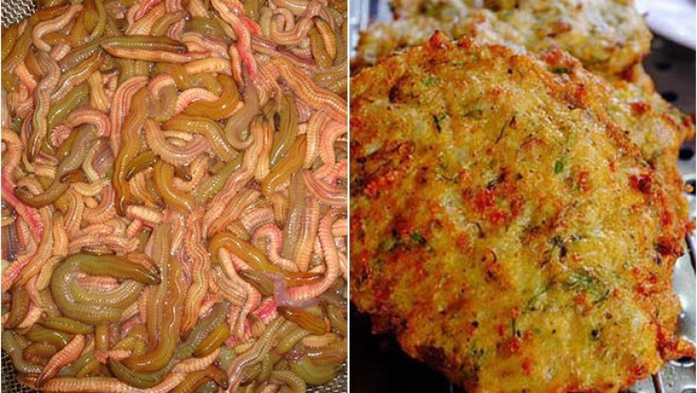 Chả rươi Đông Triều chinh phục những thực khách sành ăn