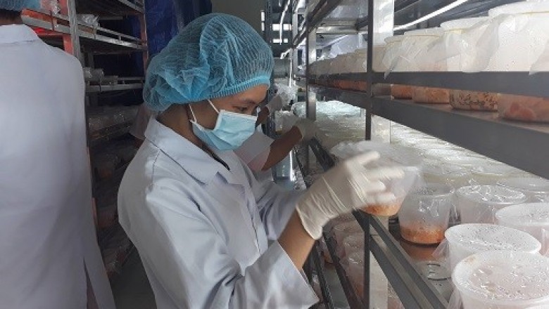 Sẽ hỗ trợ đến 100 triệu đồng cho nghiên cứu về y sinh