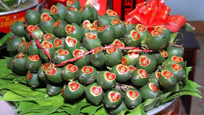 Những tác dụng bất ngờ của quả cau, hạt cau trong y học cổ truyền