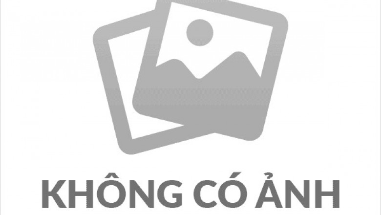 Cây dược liệu cây Quả nổ lùn, Song nổ Poilane - Pararuellia poilanei (R.Ben.) Brem. et Nann. (Ruellia poilanei R. Ben.)