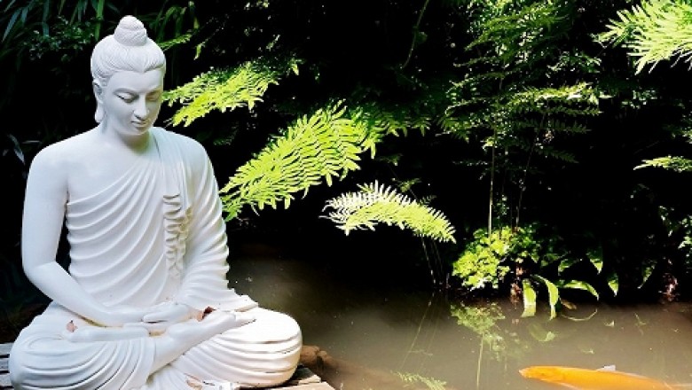 Nghe nhạc thiền có tác dụng gì đối với trí tuệ và sức khỏe?