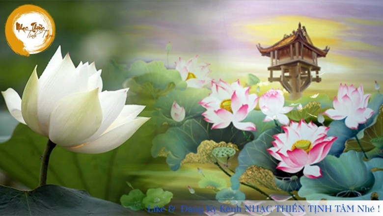 Nhạc Thiền Tĩnh Tâm - Hoa Sen Nước Chảy (Tuyệt Hay Và Thư Giãn)