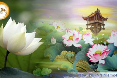 Nhạc Thiền Tĩnh Tâm - Hoa Sen Nước Chảy (Tuyệt Hay Và Thư Giãn)