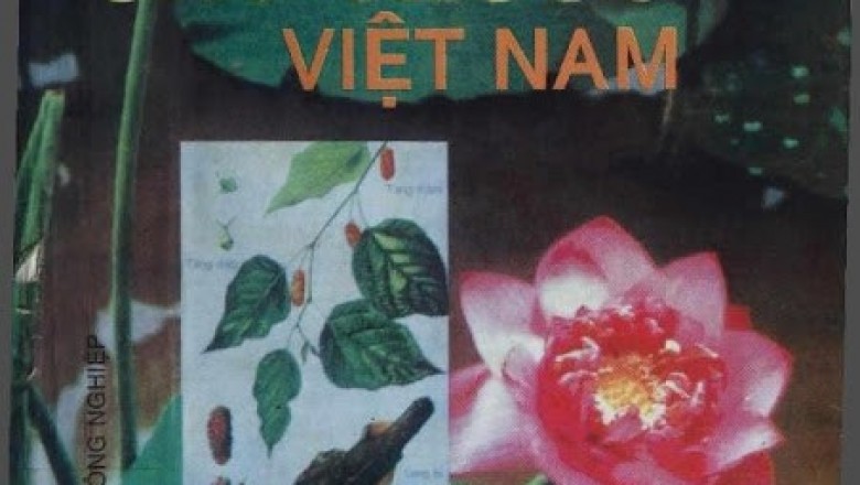 Cây thuốc việt nam, cách trồng, thu hái chế biến và phương pháp trị bệnh ban đầu của Tác giả Lương Y Lê Trần Đức