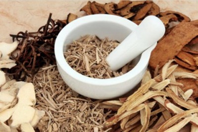 Cơ sở lý luận dùng cây dược liệu làm thuốc trong Đông Y và Tây Y
