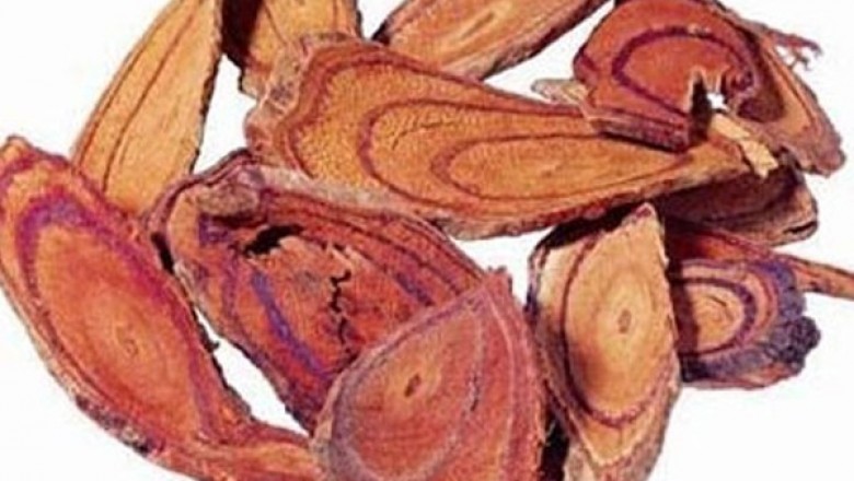 Tác dụng chữa bệnh và cách dùng cây Kê huyết đằng, hồng đằng, huyết rồng