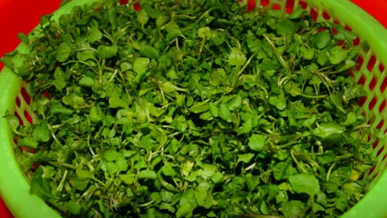 Cách làm món canh ngọt mát từ cải xoong nấu tôm tươi