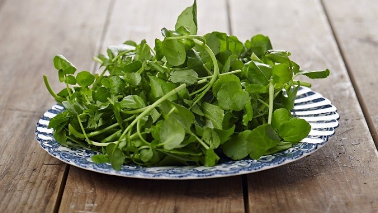 Cách làm món canh ngon từ quả la hán và rau cải xoong