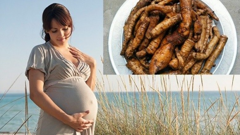 Cây Lá Gai, cây gai và những bài thuốc chữa bệnh