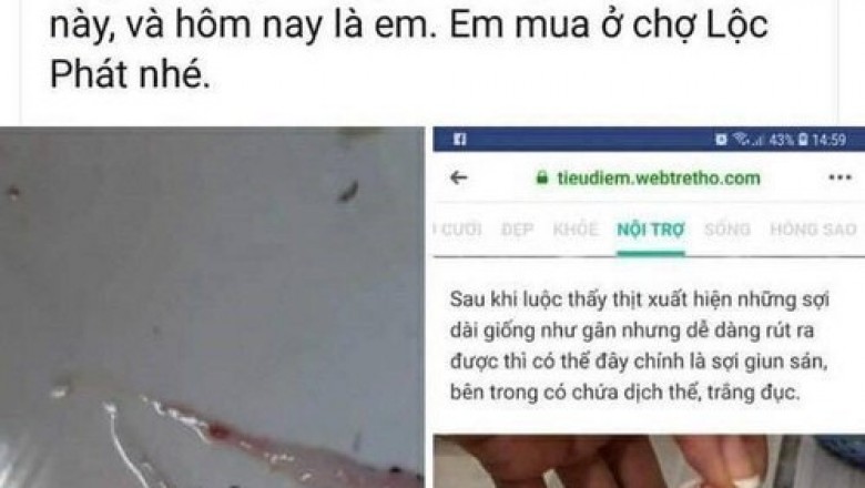 Đăng tin sai sự thật về thịt lợn nhiễm sán, bị phạt 10 triệu đồng