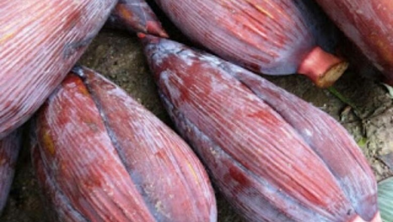 Những sức khỏe cho người thường xuyên ăn hoa cây chuối