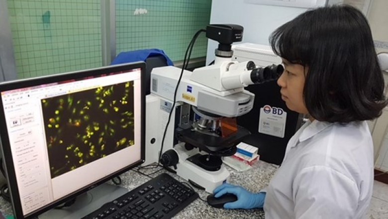 Nghiên cứu bài thuốc đông y Nam Địa Long kết quả cho thấy bài thuốc gây chết mạnh ở tế bào ung thư