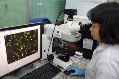 Nghiên cứu bài thuốc đông y Nam Địa Long kết quả cho thấy bài thuốc gây chết mạnh ở tế bào ung thư
