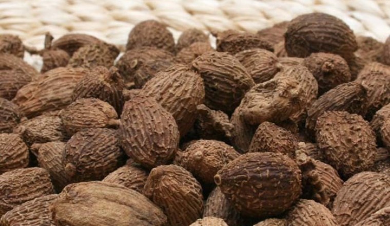 Thuốc chữa bệnh từ cây sa nhân, dược liệu sa nhân