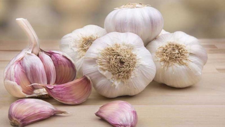 10 lợi ích của tỏi đối với trẻ em có thể bạn chưa biết