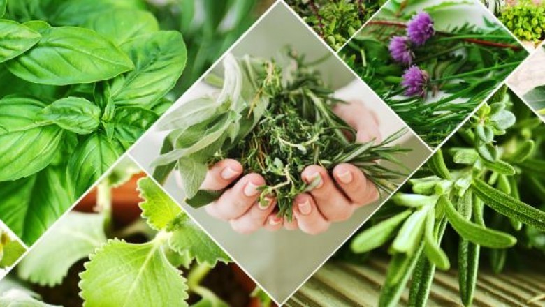 Dược dục liệu pháp dưỡng da, phòng bệnh