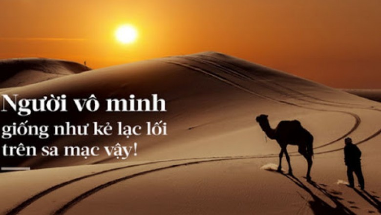 Vô minh là gì mà có khả năng mãnh liệt như thế?