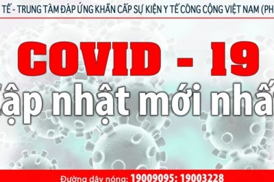 COVID-19: Cập nhật mới nhất, liên tục hằng ngày