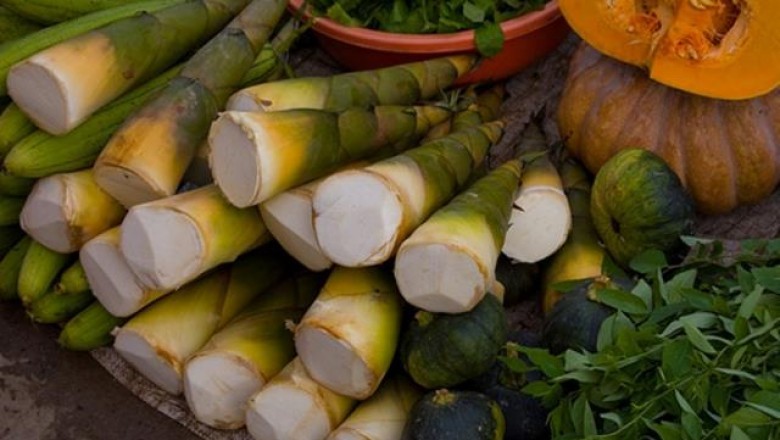 Sai lầm khi chế biến măng khiến cả nhà ngộ độc