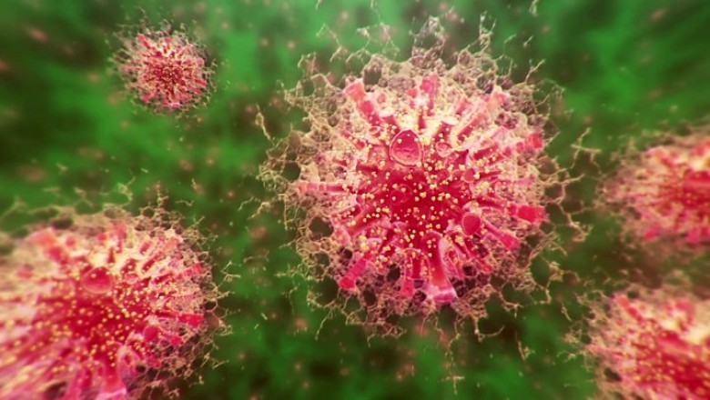 Nhà virus học Nga chỉ ra cơ chế xâm nhập 'đặc biệt' của Coronavirus