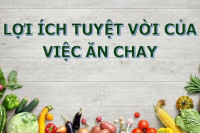 22 lợi ích của việc ăn chay theo Phật giáo
