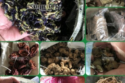 Phát hiện tới 161 loại thảo dược trong 5 container hàng vi phạm tại Đà Nẵng