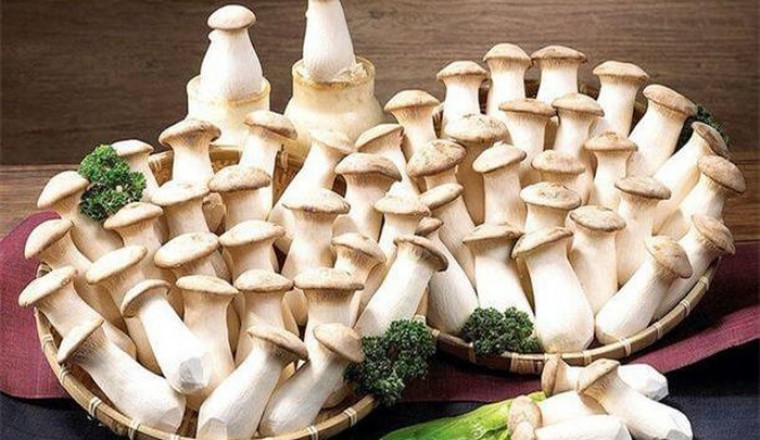 5 loại nấm là 'thần dược' cho sức khỏe, giúp giải độc, tăng cường sức khỏe mỗi ngày