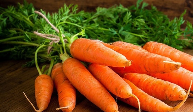 Cây thuốc quanh ta: Cà rốt vị thuốc chữa tiêu chảy ở trẻ em