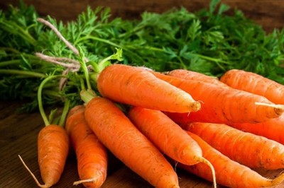 Cây thuốc quanh ta: Cà rốt vị thuốc chữa tiêu chảy ở trẻ em