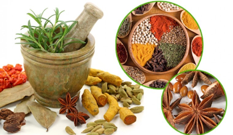 Các bài thuốc Đông y hỗ trợ trị các bệnh liên quan đến đường hô hấp