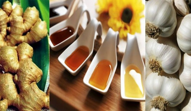 7 loại thảo dược chứa kháng sinh tự nhiên mạnh nhất bạn không nên bỏ qua