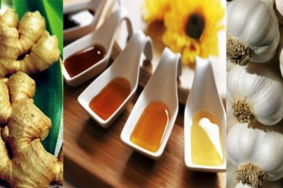 7 loại thảo dược chứa kháng sinh tự nhiên mạnh nhất bạn không nên bỏ qua