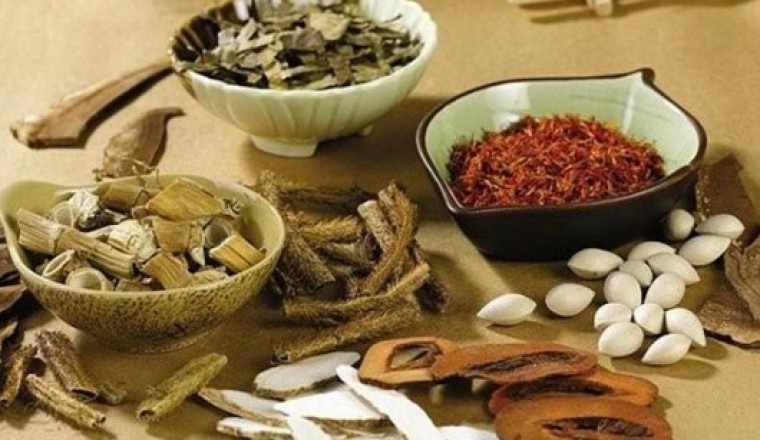 Top 5 cây thuốc nam hỗ trợ điều trị bệnh tim mạch hiệu quả nhất hiện nay