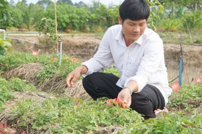 Thành công với mô hình trồng Sâm Bố Chính