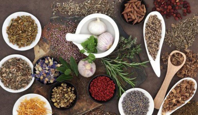 5 bài thuốc Đông y hỗ trợ điều trị đẩy lùi bệnh ung thư thực quản