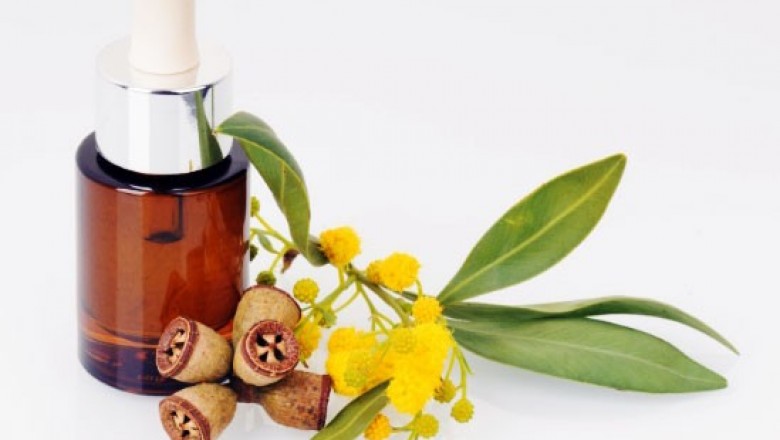 Những nguy hiểm khó lường khi dùng tinh dầu khuynh diệp không đúng cách