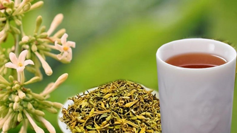 Hoa đu đủ đực - dược liệu quý trong Đông y