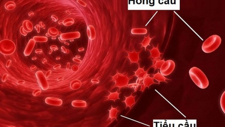 5 chất dinh dưỡng giúp tăng số lượng hồng cầu của bạn