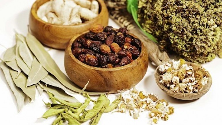 Bài thuốc Đông y chữa bệnh viêm mũi