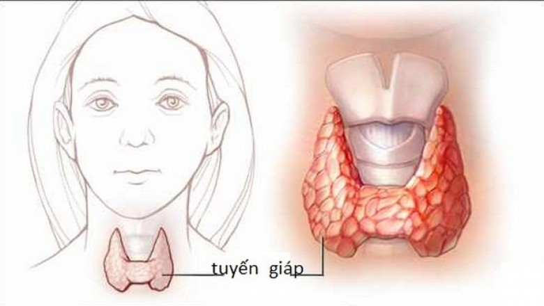 Suy tuyến giáp: Thủ phạm giấu mặt gây hiếm muộn