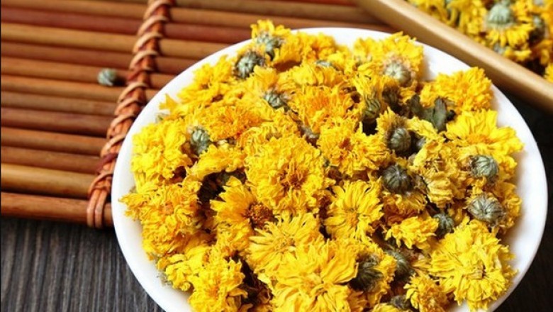 Trà hoa cúc: Công dụng của trà hoa cúc với trẻ em