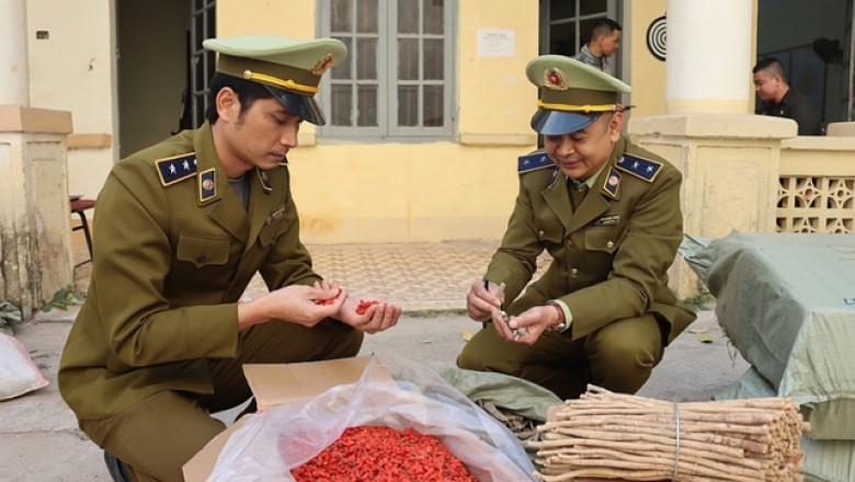 Bắt 1 tấn dược liệu kém chất lượng gồm Hoàng Kỳ, Kỳ Tử nhập lậu tại Lạng Sơn