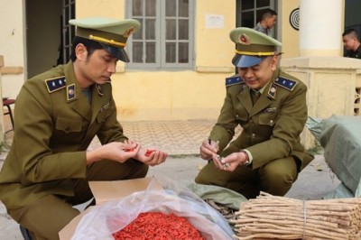 Bắt 1 tấn dược liệu kém chất lượng gồm Hoàng Kỳ, Kỳ Tử nhập lậu tại Lạng Sơn